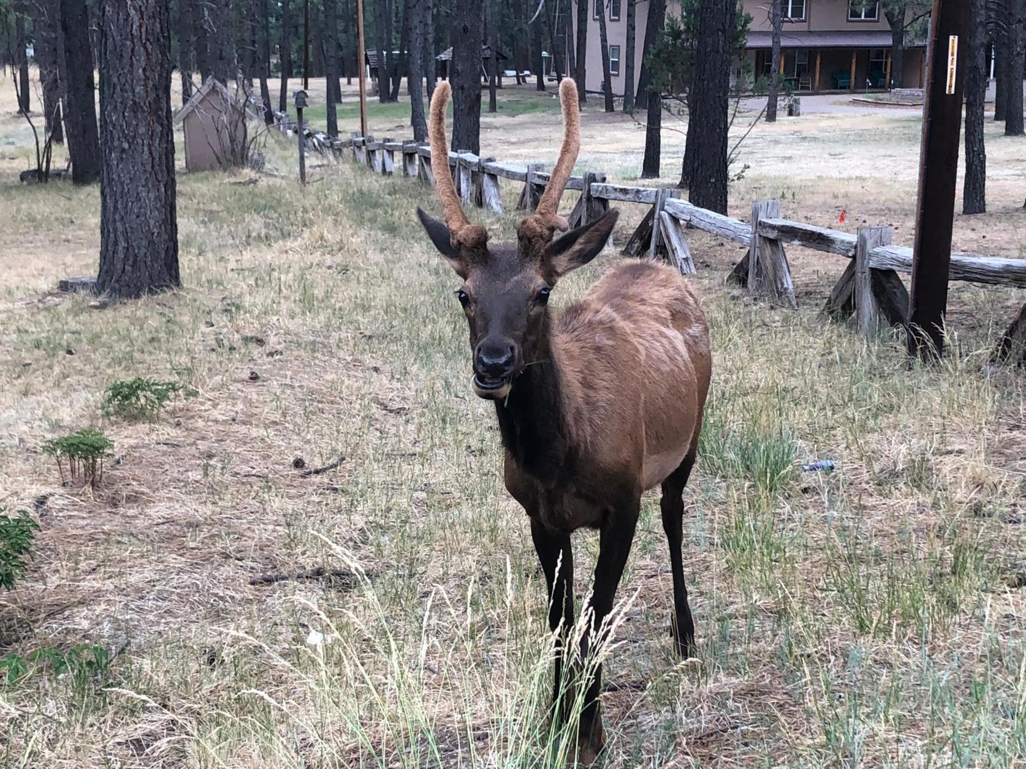 Deer Meadows: Adorable, Centrally Located With Private Hot Tub! *