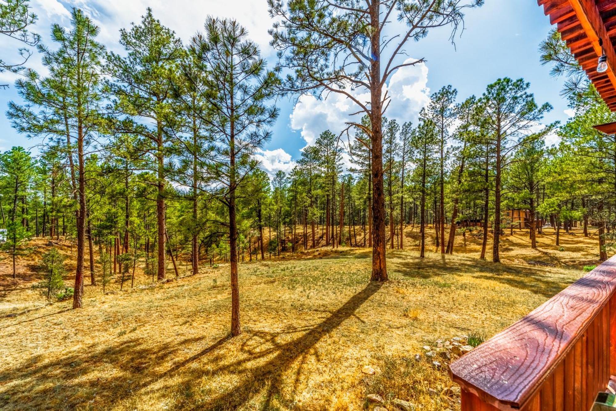 Deer Meadows: Adorable, Centrally Located With Private Hot Tub! Сasa de vacaciones *
