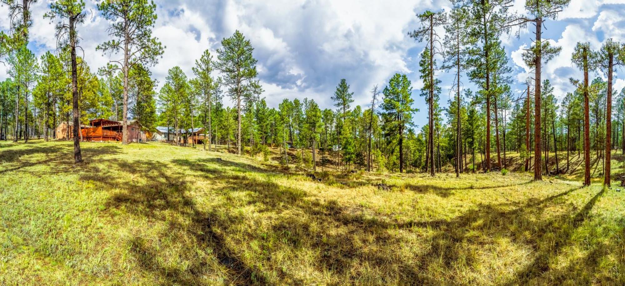 Сasa de vacaciones Deer Meadows: Adorable, Centrally Located With Private Hot Tub! *