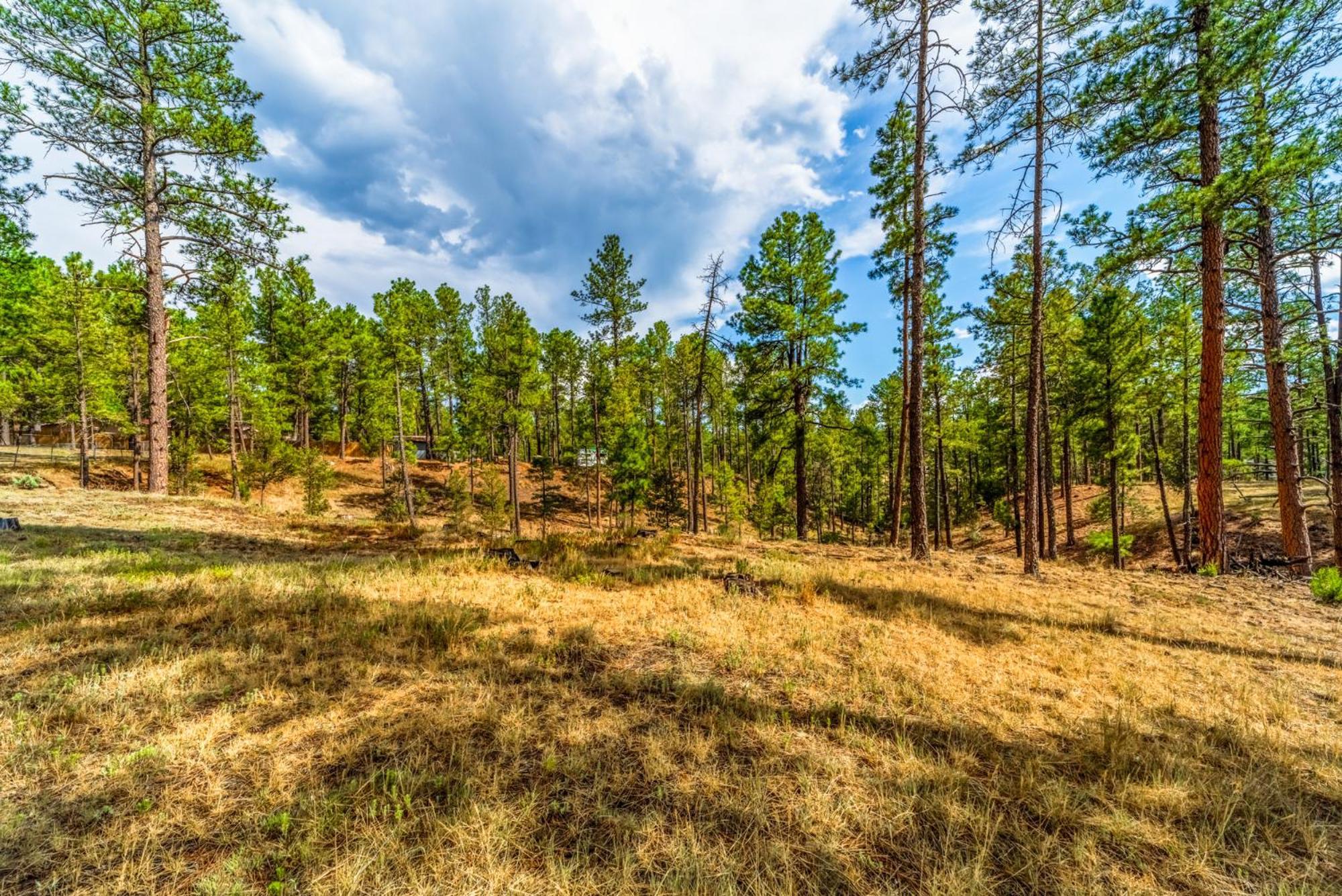 Сasa de vacaciones Deer Meadows: Adorable, Centrally Located With Private Hot Tub! *