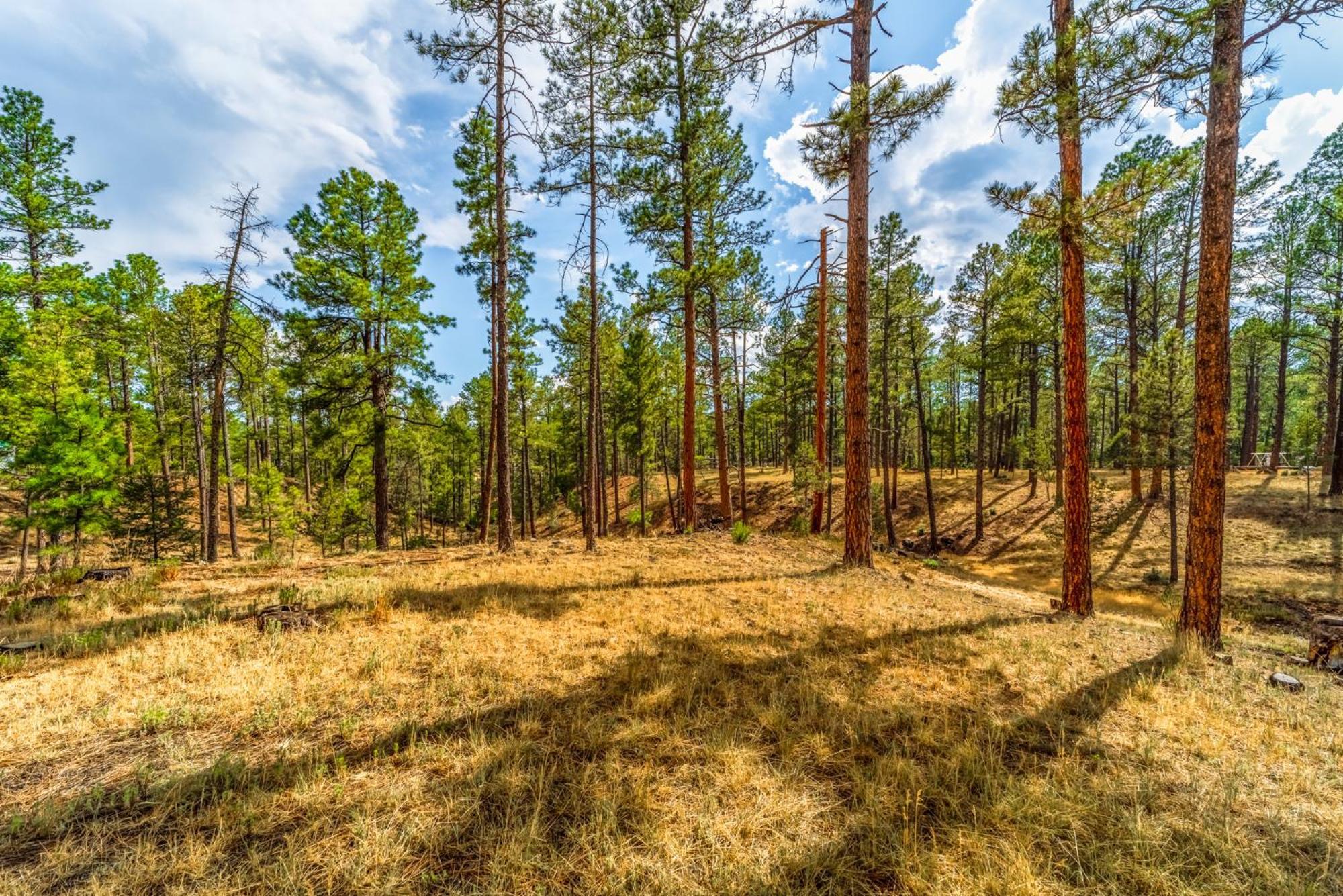 Deer Meadows: Adorable, Centrally Located With Private Hot Tub!